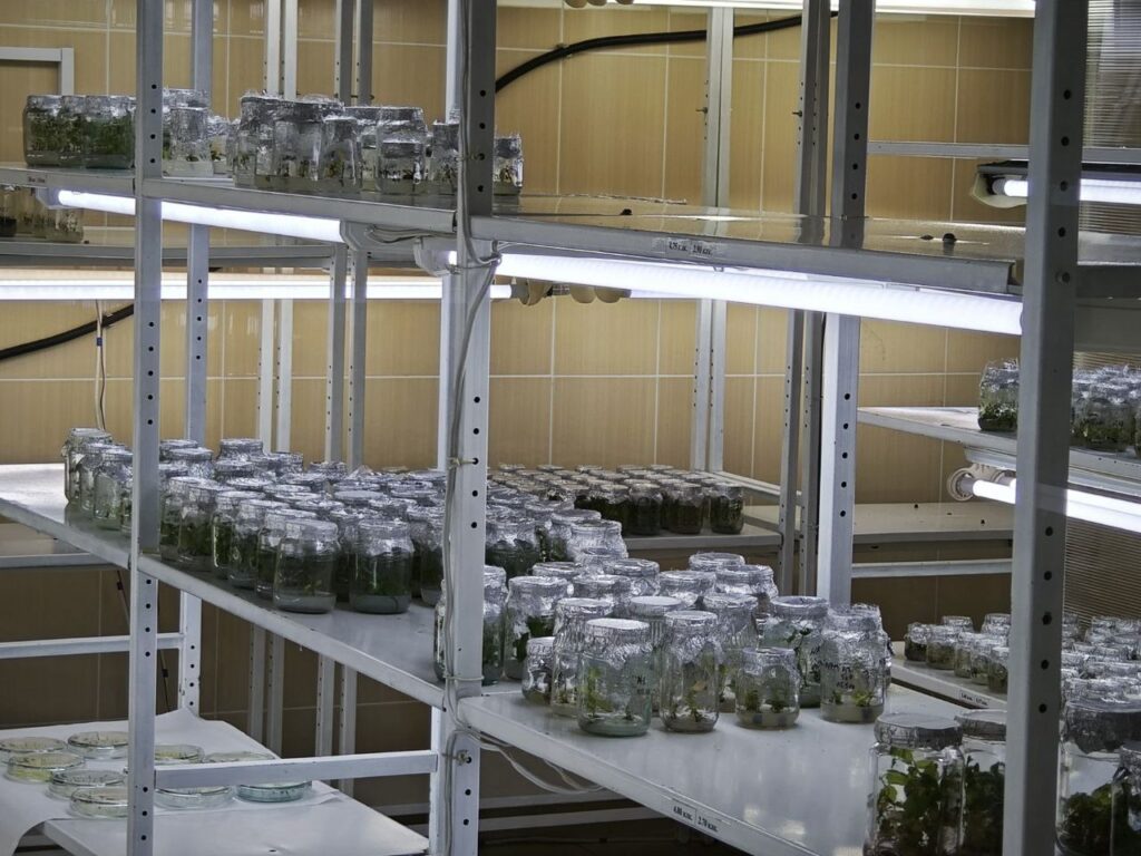 Лесная наука